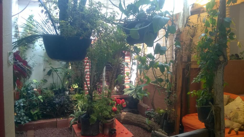 Natural Mystic Hostal Tepoztlan Exterior photo
