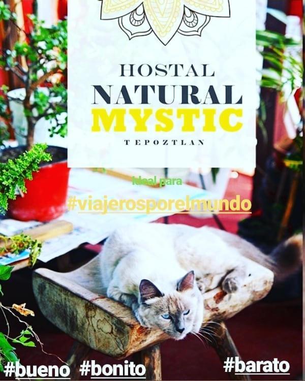 Natural Mystic Hostal Tepoztlan Exterior photo