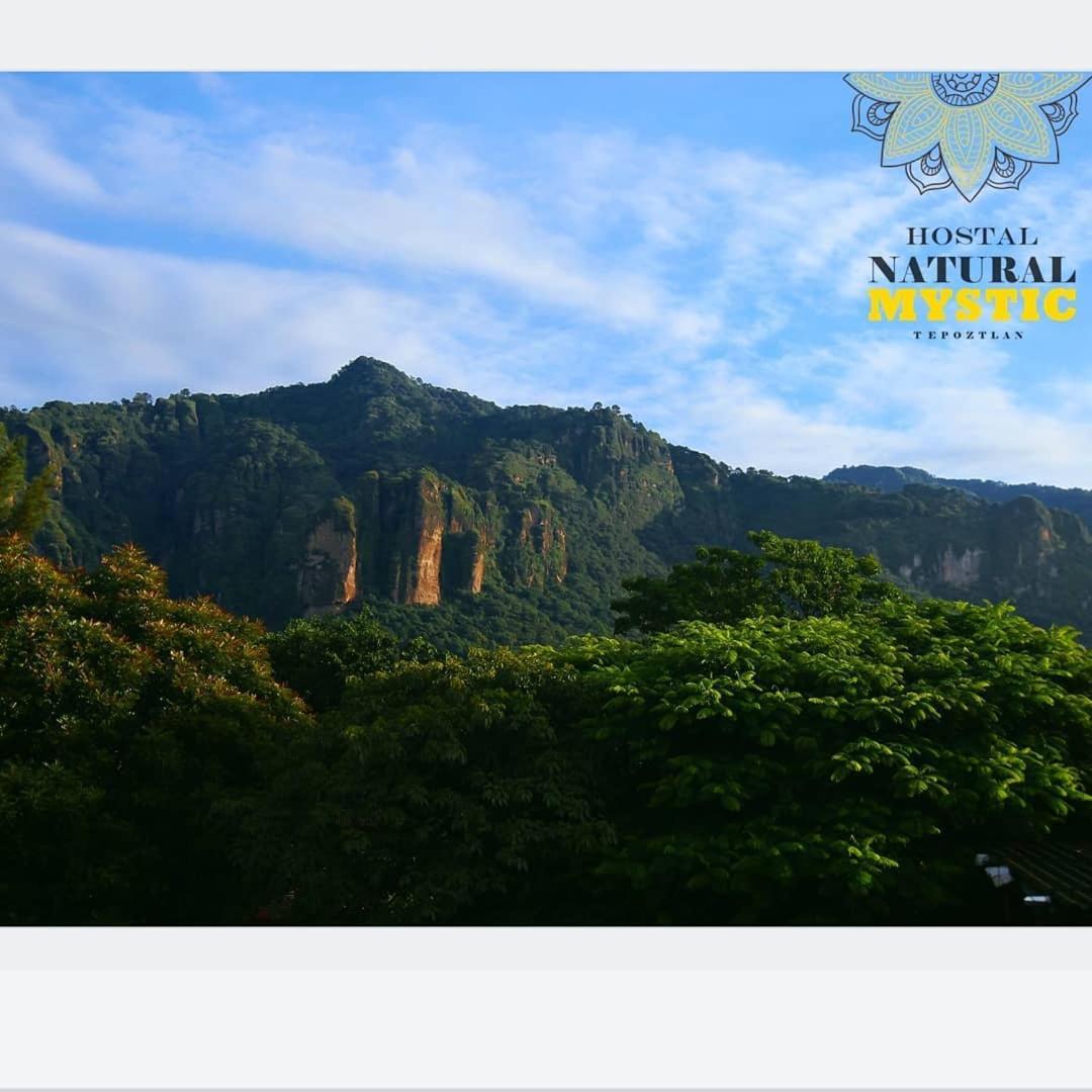 Natural Mystic Hostal Tepoztlan Exterior photo