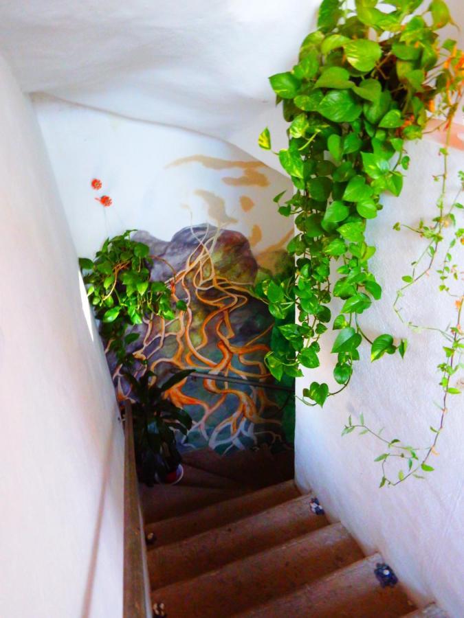Natural Mystic Hostal Tepoztlan Exterior photo