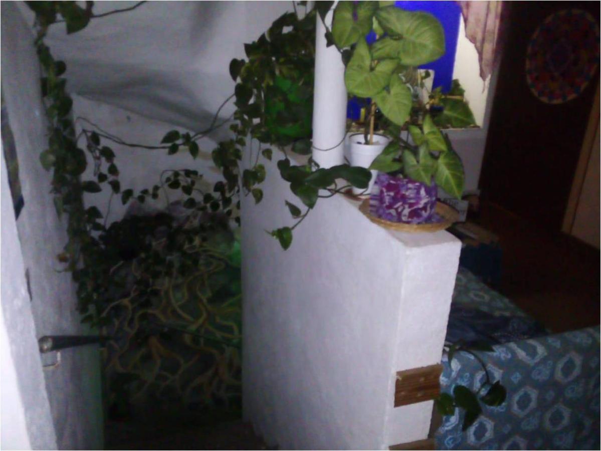 Natural Mystic Hostal Tepoztlan Exterior photo
